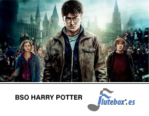 harry-potter-john-williams-Canciones de flauta-Flute-Flauta-Beatbox-Flutebox.es